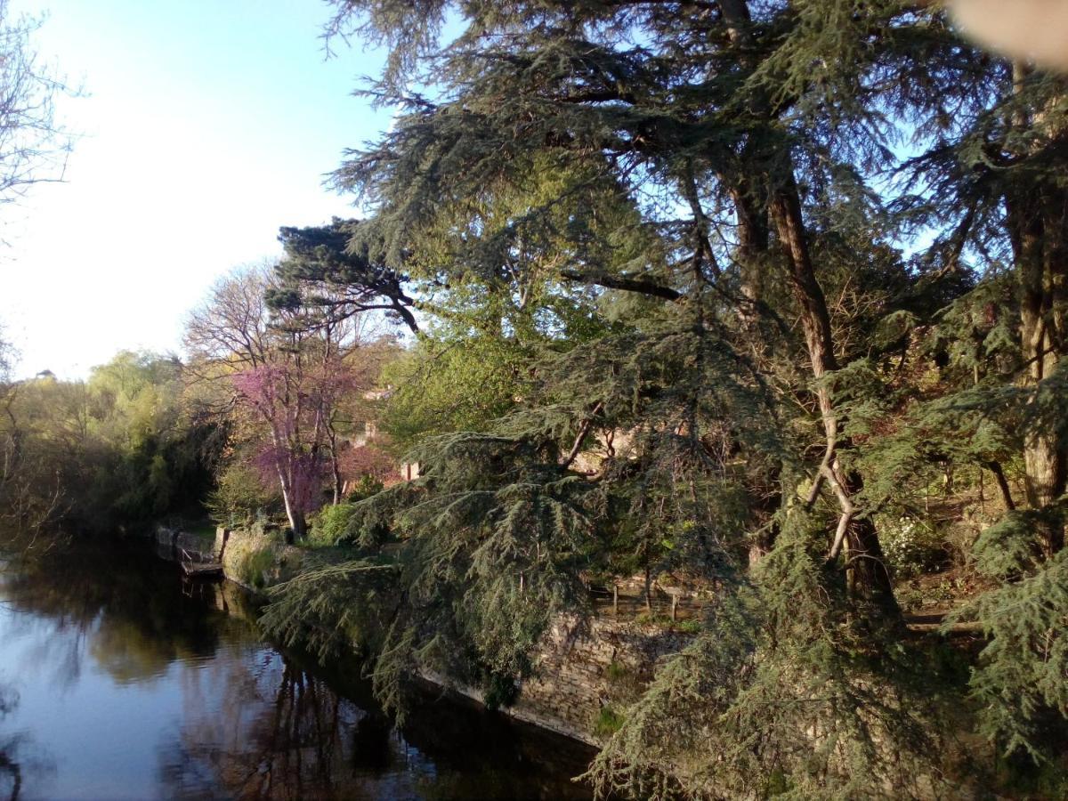Bed and Breakfast Les Cedres Montaigu-Vendee Exterior foto